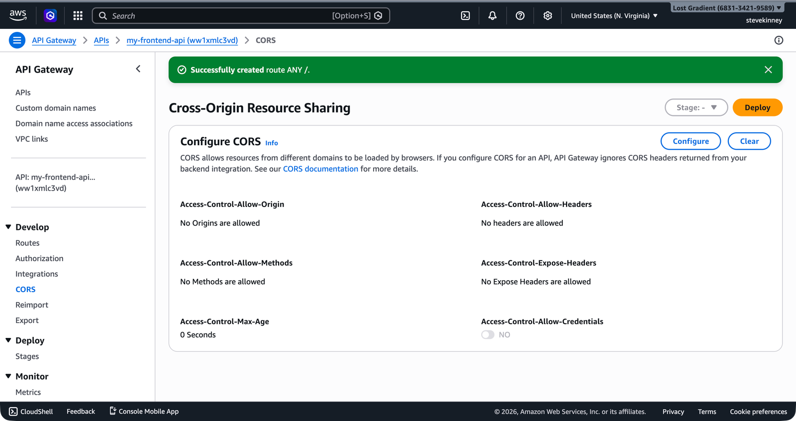 The API Gateway CORS configuration page showing the Access-Control-Allow-Origin, Access-Control-Allow-Methods, and other CORS fields with their current values.