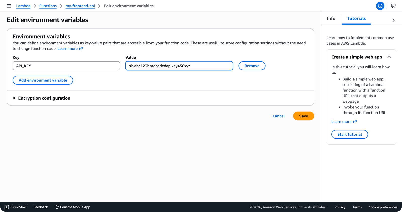 The Lambda Edit environment variables form showing API_KEY with its secret value visible in plain text in the Value field.