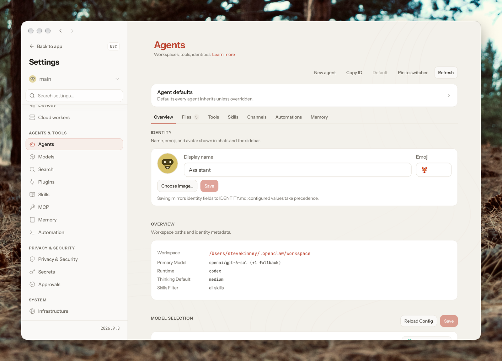 The OpenClaw Agents settings page showing identity, workspace, and model selection