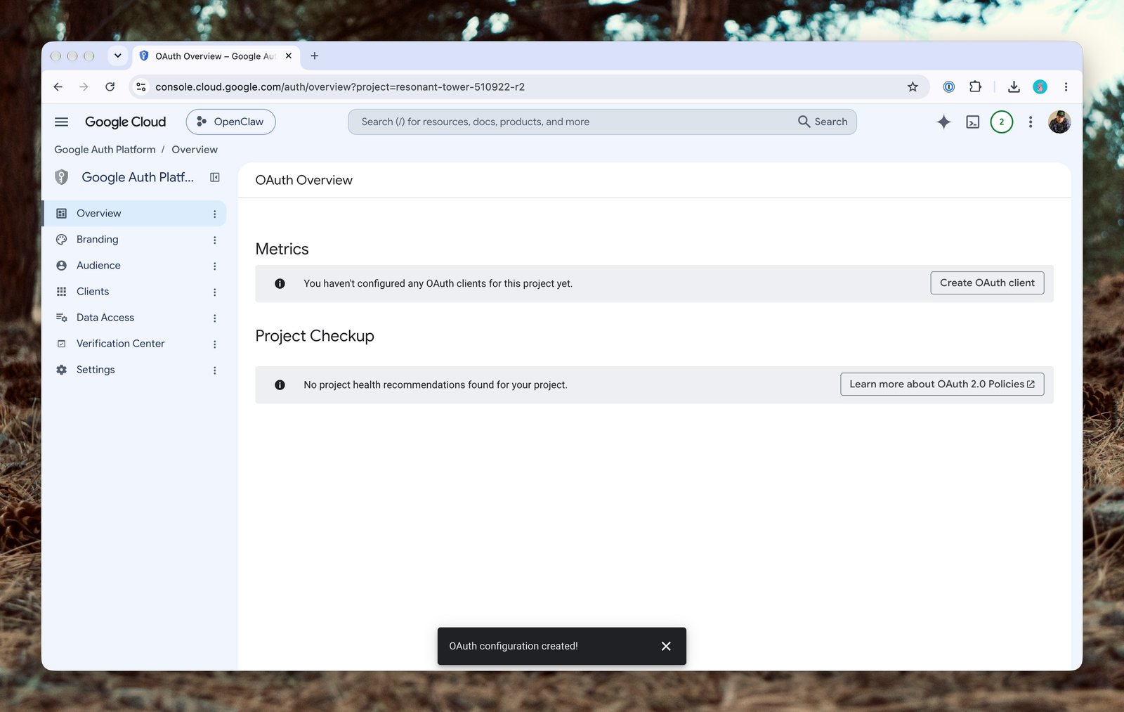 The OAuth overview page prompting you to create an OAuth client
