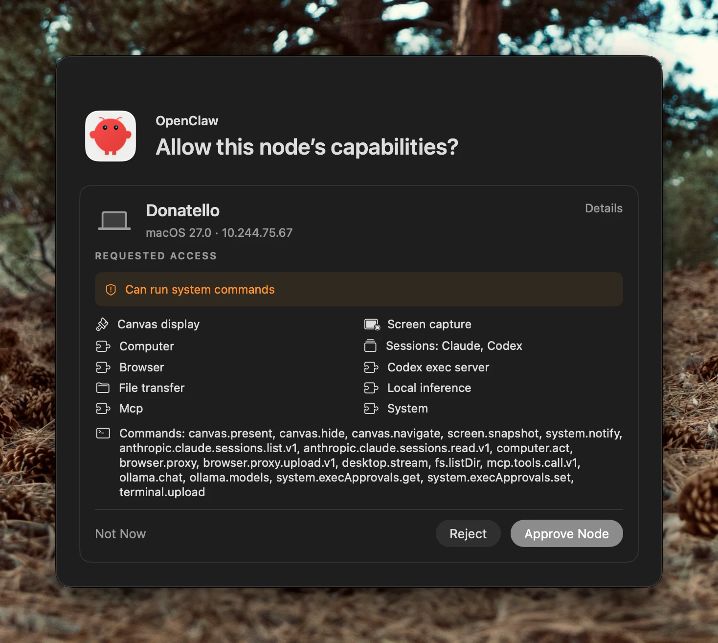The Allow this node's capabilities prompt listing the node's name, requested access, capabilities, and commands, with Not Now, Reject, and Approve Node buttons