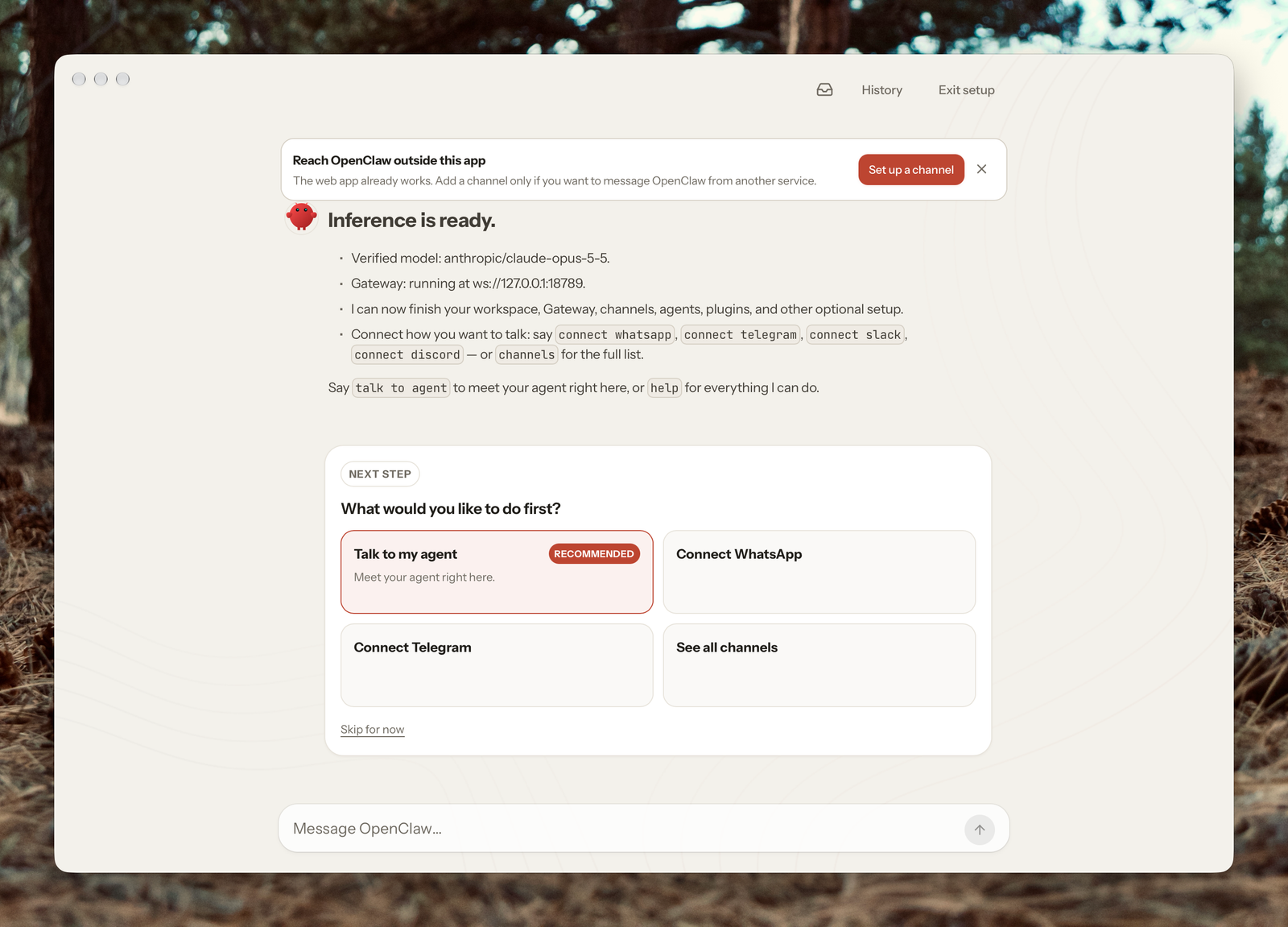The OpenClaw chat window reporting that inference is ready