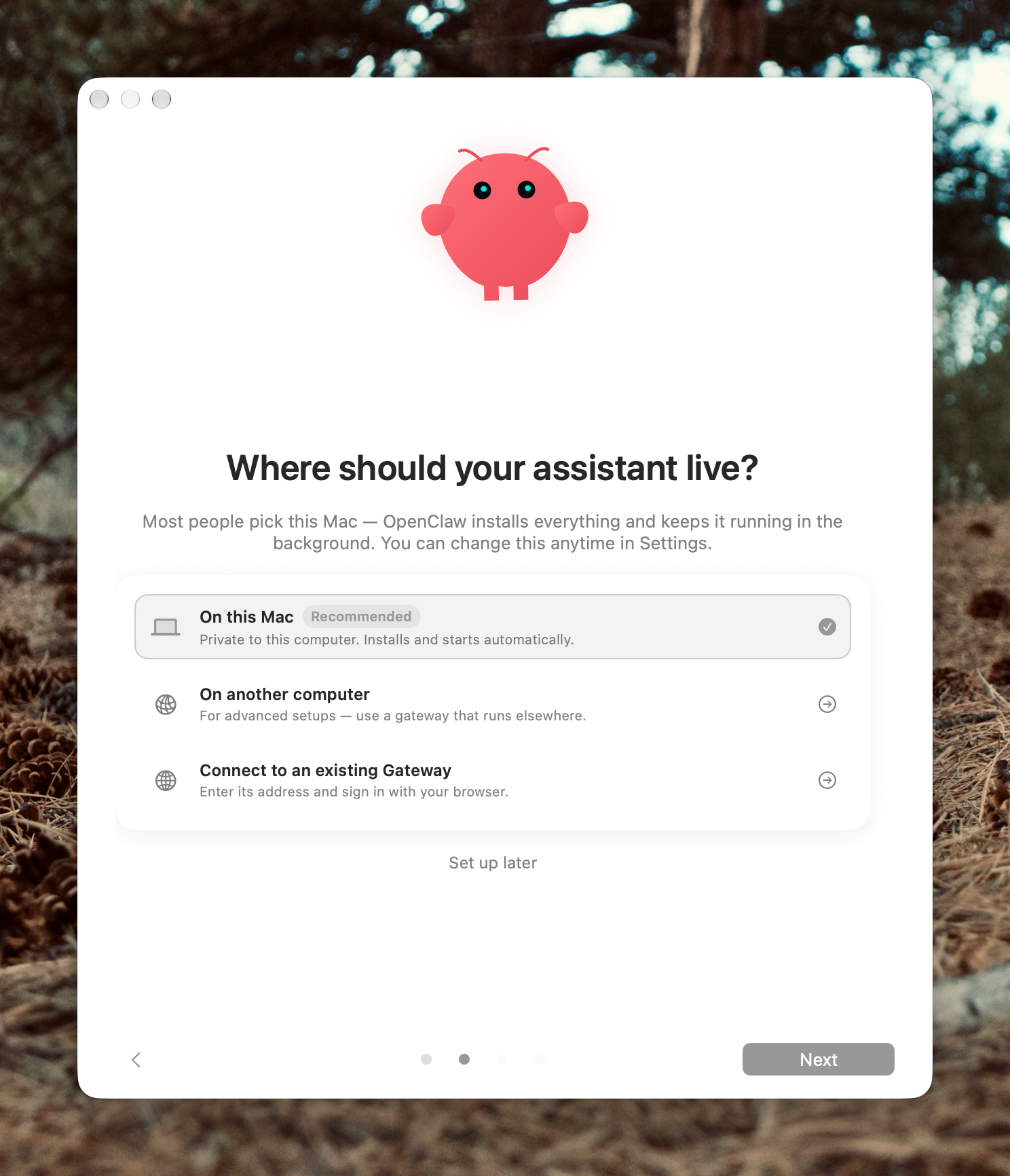 The onboarding screen asking where the assistant should live, with the On this Mac option selected