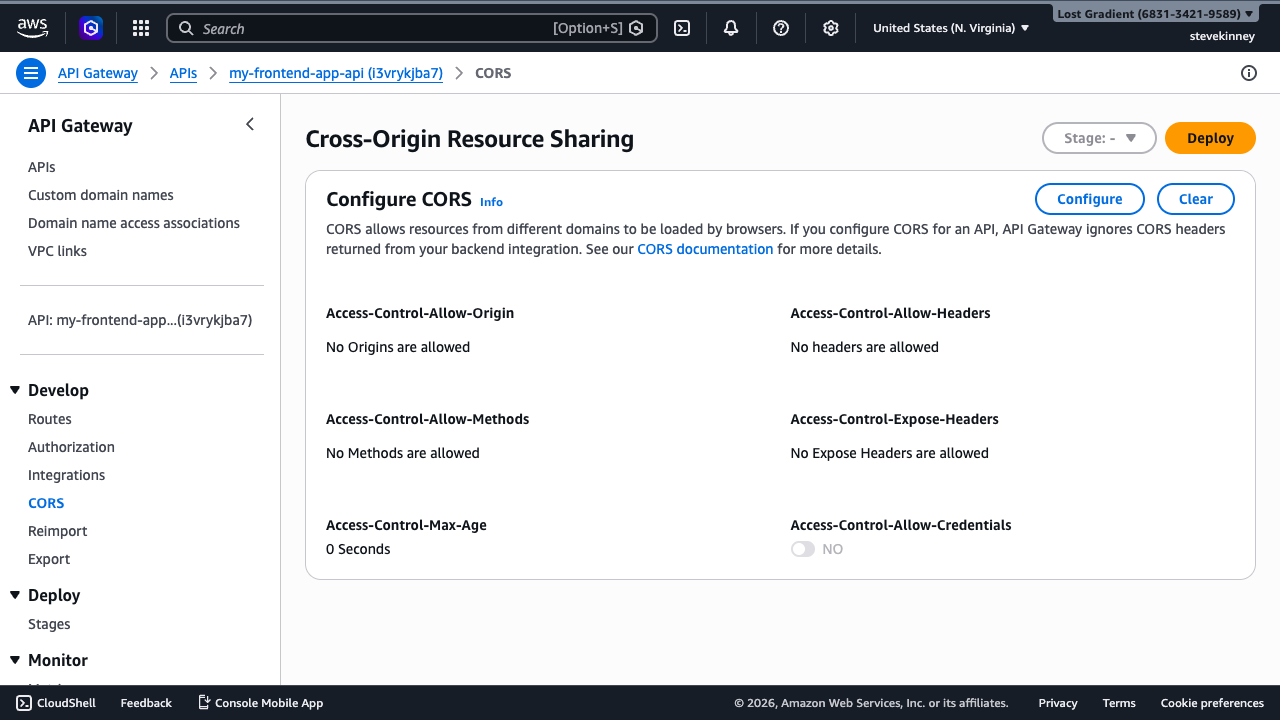 The API Gateway CORS page showing the default unconfigured state with no origins, methods, or headers allowed.