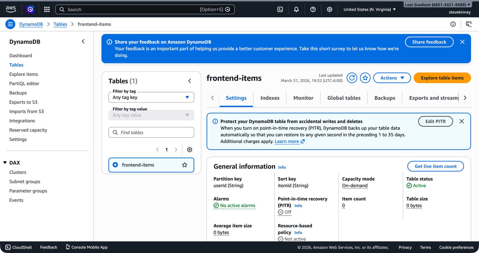 The DynamoDB table overview page showing the frontend-items table with partition key userId, sort key itemId, and table status Active.